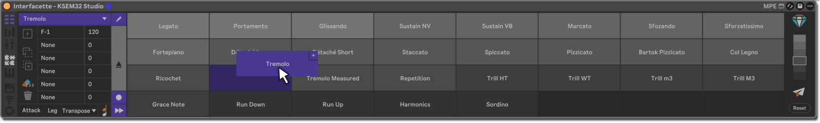 Interfacette_KSEM_editor